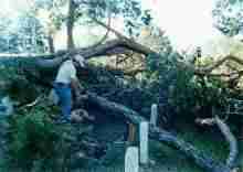 Hurricane Fran Damage