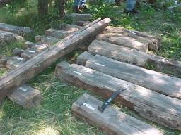 numbered logs