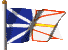 Newfoundland's Flag