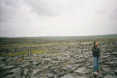 The Burren