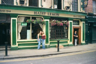 Hairy Lemon