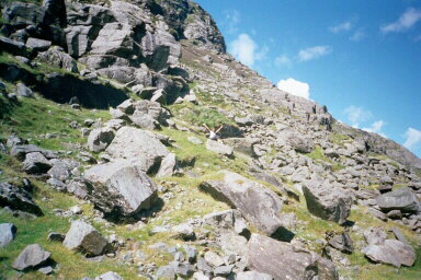Rocks