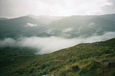 Mists