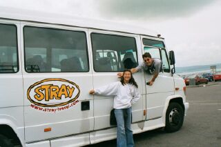 Stray Bus
