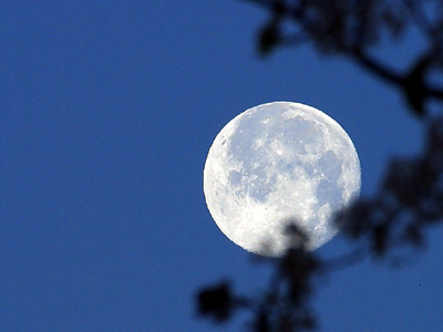 full moon seen at night