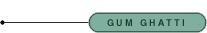 Gum Ghatti
