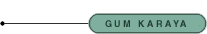 Gum Karaya