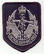 T.S.U Navy