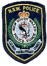 Police Patch Old Style