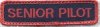 Senior Pilot