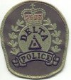 Subdued Green