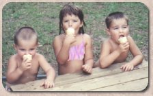 The Three Of Them