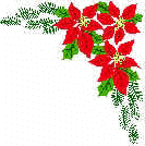 poinsettia2.jpg (16568 bytes)