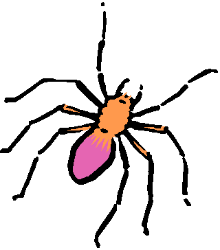 spider.gif (4264 bytes)
