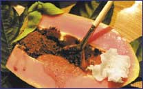 Papaya Body Polish