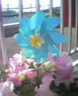 Pinwheel