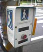 Handicap Crossing