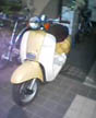 retro yellow