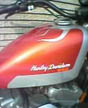 harley