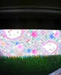 kitty secret mailbox