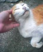 a little love