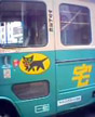 Mommy Cat Truck