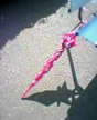 polka umbrella