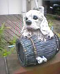 puppy again