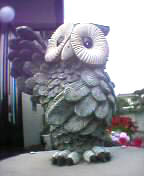 gesturing owl