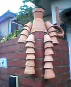 potted plant man