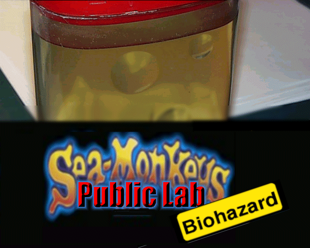 Sea-Monkey Public Lab