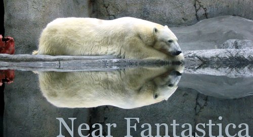 Near Fantastica / Polar bear at the Oregon Zoo