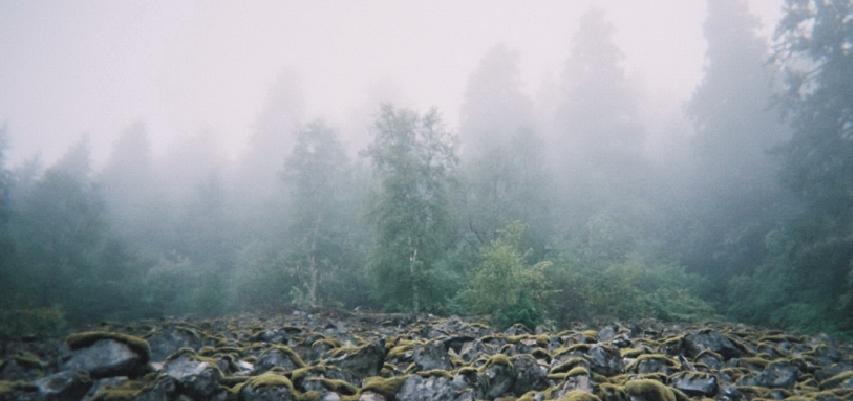 Picture taken in British Columbia