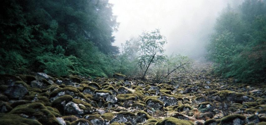 Picture taken in British Columbia