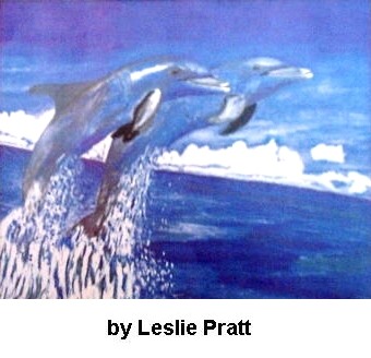 Dophins
