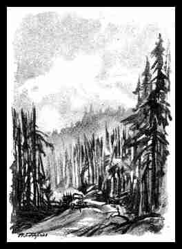 Hurtgen Forest