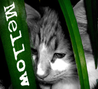 Download Mellow NOW!!!!!