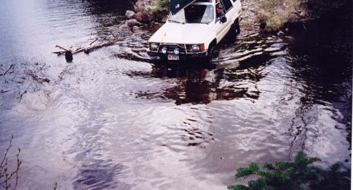 fishing