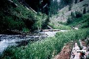 crater creek shots