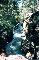 The amazing Rogue River