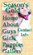 Seasons Gold Kennels