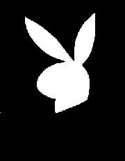 [14th TACTICAL RECONNAISSANCE Emblem (simulated)]