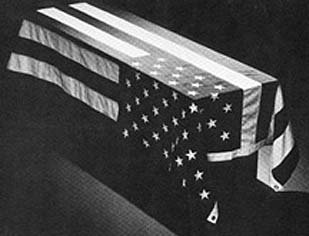 flag-coffin.jpg