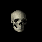 skull-r.gif