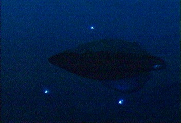 seaQuest-class DSV
