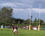 Patada a los Palos