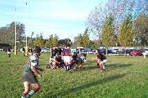 Patada a los Palos