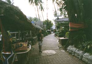 Phi-phi village2