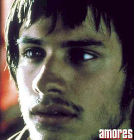 "Tus amores perros me van a matar"