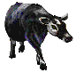 MOO' Click me to discover all the products SEBco carries